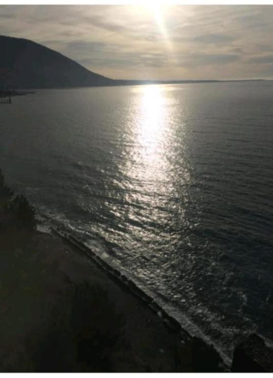 Гостевой Дом Белый Лотос Gagra Extérieur photo
