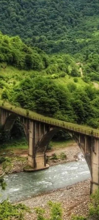 Гостевой Дом Белый Лотос Gagra Extérieur photo